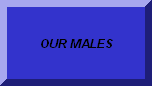 CLICK TO GO BACK TO OUR MALES