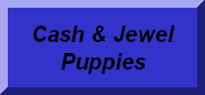 Cash & Jewel Puppies