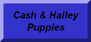 Cash & Hailey Puppies